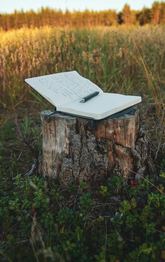 Why Poems Are Excellent For Celebrant Weddings blog.  Image of tree stump in a field with open note book and pen on top, words can be seen on left side of page.