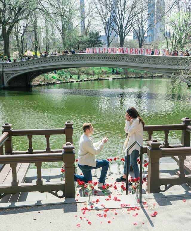 Image of man and woman next to a dock. Man is on one knee in what appears to be a Valentine's proposal,  with hands held towards woman who has hands over face. Roses and petals strewn on floor.   In the background and other side of river, bridge with people and sign saying will you marry me.