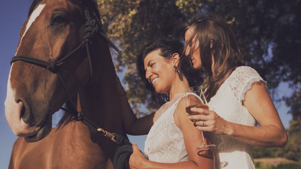 Two women sharing a joyful moment with a horse, one holding a drink, against a sunlit backdrop of trees.